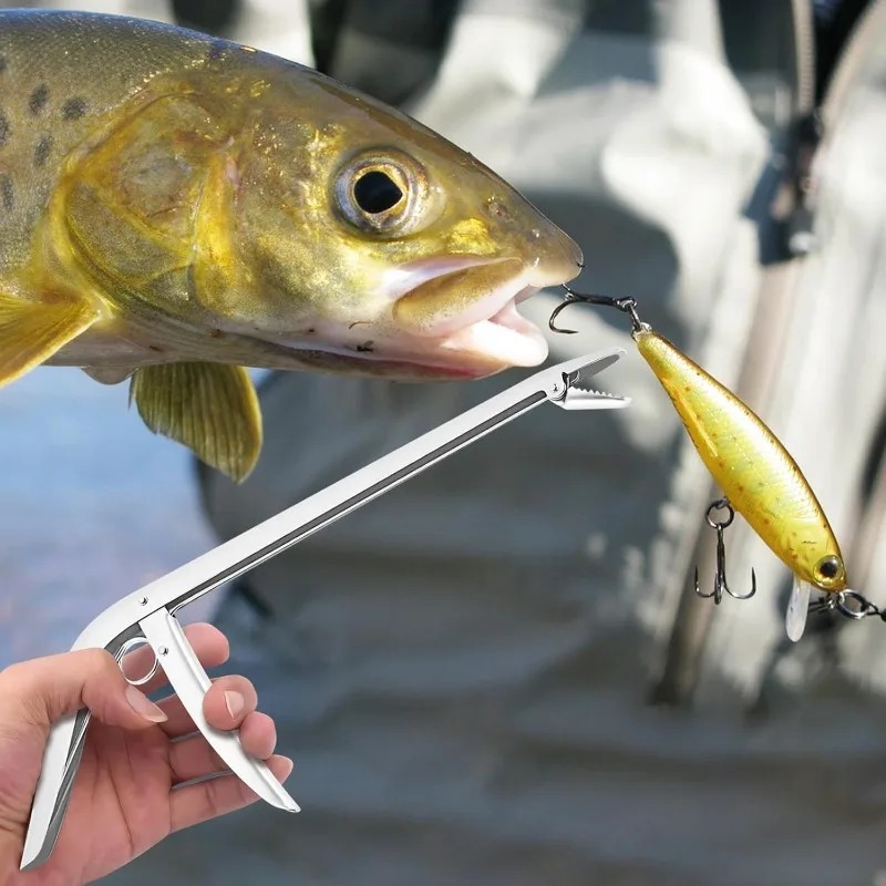 Stainless Steel Fishing Unhook - đánh giá và giá Fishing Equipment Australia