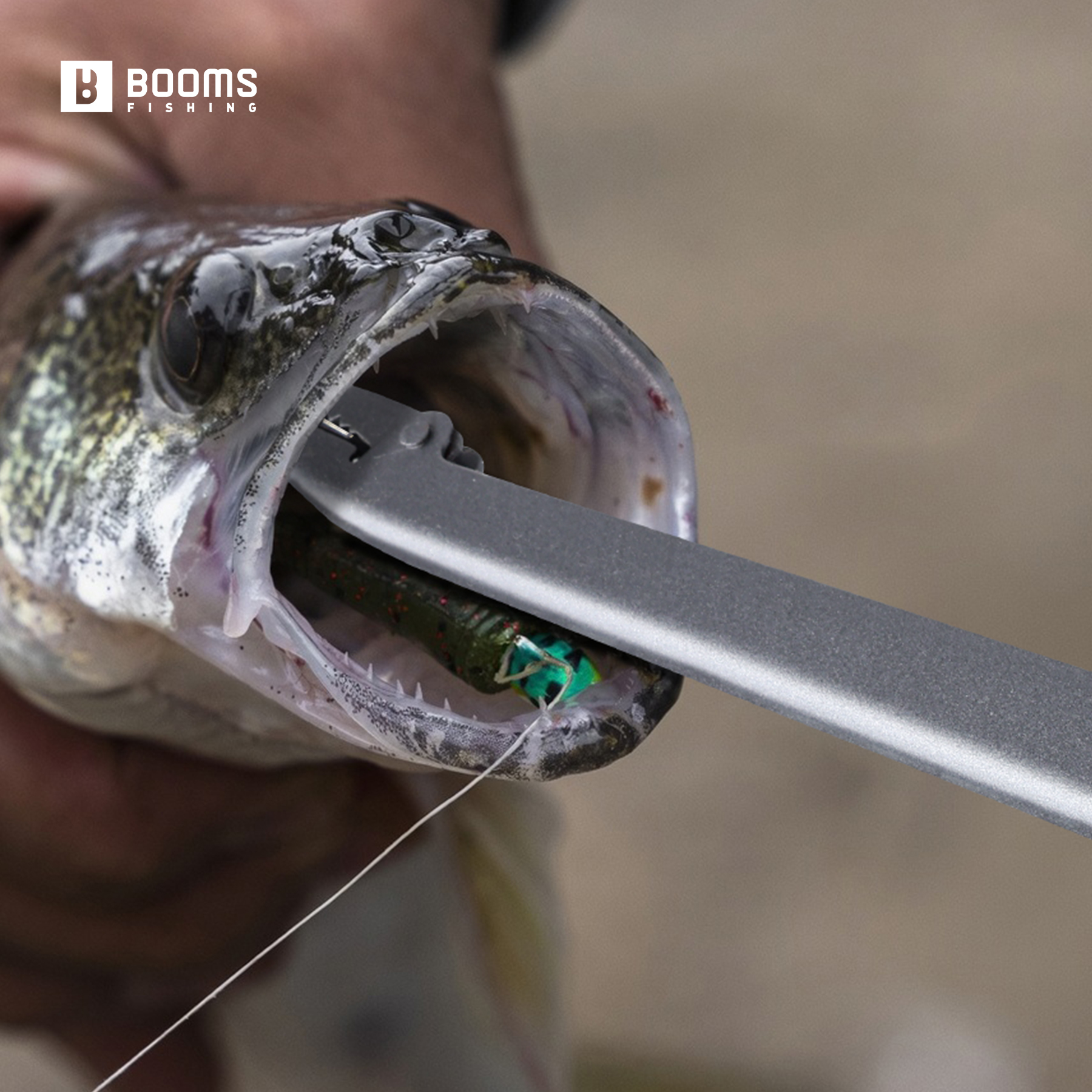 Booms Fishing 25cm Carbon Stee - đánh giá và giá Fishing Equipment Australia
