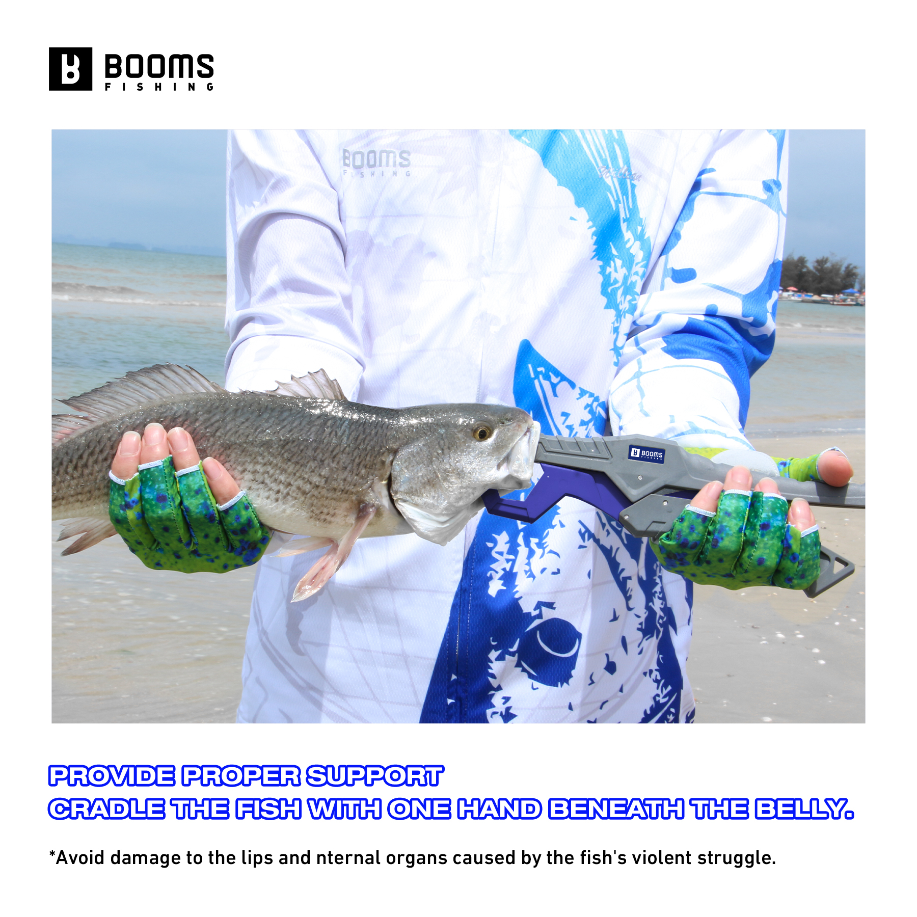Booms Fishing 23cm Pliers and  - đánh giá và giá Fishing Equipment Australia